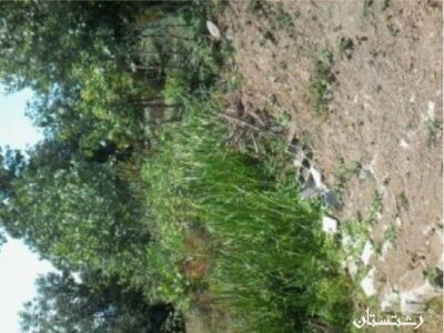 رفع تصرف حریم اراضی استملاکی در شهرستانهای آستانه اشرفیه و لنگرود
