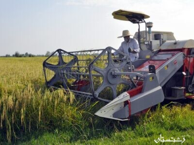 گزارش تصویری اولین برداشت مکانیزه برنج در گیلان