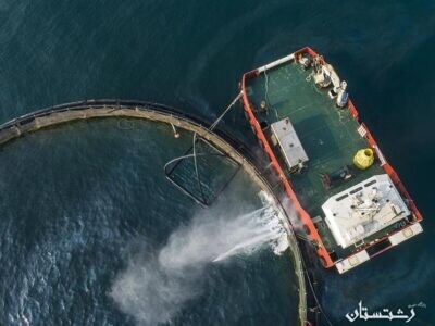ضرورت توسعه قفس‌های دریایی در پهنه دریای خزر