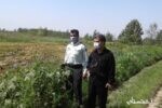 سی هزار متر مربع از اراضی ملی تالابی واقع در جیرسر چوکام رفع تصرف شد