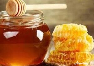 افزایش تولید عسل در گیلان