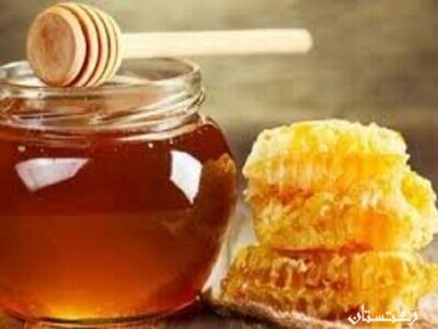 افزایش تولید عسل در گیلان