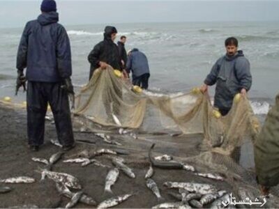پیش‌بینی صید ۲۰۰۰ تن ماهی استخوانی از دریای خزر در سال ۹۹