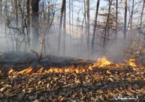 آتش‌سوزی در اراضی ملی ماسال به‌طور کامل مهار شد