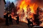 افزایش دامنه آتش به ۱۰۰ هکتار از جنگل‌های استان گیلان