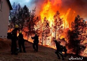 افزایش دامنه آتش به ۱۰۰ هکتار از جنگل‌های استان گیلان