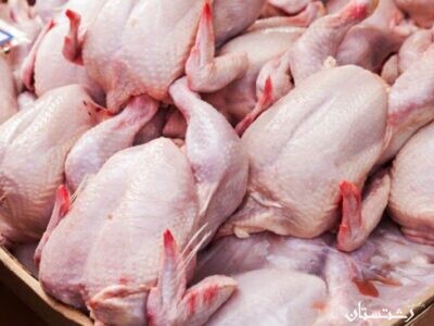 آیا روند کاهشی قیمت مرغ ادامه خواهد یافت؟