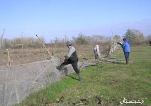 عملیات رفع تصرف از بستر ۲۵ ساله رودخانه سفید رود در شهرستان آستانه اشرفیه اجرا شد.