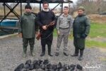 شکارچی متخلف و حرفه ای به همراه یک سلاح  غیر مجاز و  لاشه ‌۳۵ قطعه پرنده در انزلی دستگیر  شد.