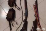 هفت قبضه سلاح شکاری به همراه دو طاقه قرقاول در سیاهکل کشف و ضبط شد.