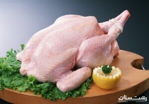 توزیع روزانه مرغ در استان گیلان به ۲۶۰تن افزایش یافت.