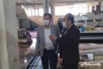 بازرسی ویژه تیم های نظارتی از کارخانجات قالیشویی و واحدهای خشکشویی