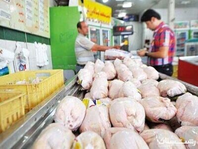 توزیع روزانه ۵۰۰ تن گوشت مرغ در گیلان