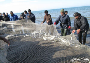 تمدیدمهلت صید ماهیان استخوانی در نوار ساحلی گیلان