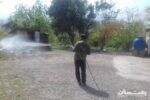 سمپاشی دفنگاه زباله و روستاهای همجوار به طور مستمر از سوی سازمان پسماند