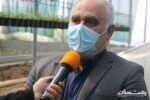 کشت بادام زمینی در استان گیلان آغاز شد