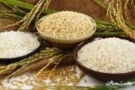 توجه به سلامت مصرف‌کنندگان عامل توسعه تجارت جهانی برنج