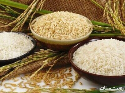 توجه به سلامت مصرف‌کنندگان عامل توسعه تجارت جهانی برنج