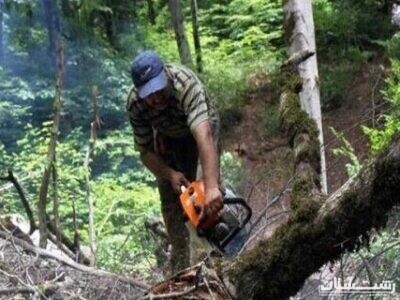 تشدید مقابله با قاچاق چوب آلات جنگلی در شهرستان های گیلان
