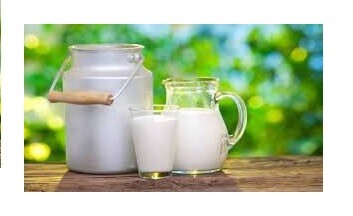 پرکشیدن شیر از سفره مردم استان گیلان