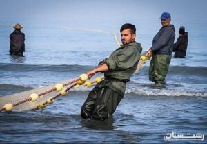 صید ماهیان استخوانی در گیلان ۱۶ درصد کاهش یافت