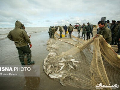 رشد ۴۸ درصدی صید ماهیان استخوانی در دریای خزر