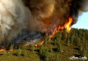 وقوع آتش سوزی در ۱۳۰ هکتار از عرصه های جنگلی گیلان/ خسارت جدی نیست