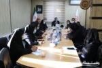 نشست هم اندیشی نمایندگان مراکز مثبت زندگی استان با مدیرکل بهزیستی گیلان