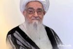 پیام تسلیت حجت الاسلام والمسلمین روحانی نژاد نماینده ولی فقیه بنیاد مسکن استان درپی ارتحال عالم ربانی آیت الله صافی گلپایگانی