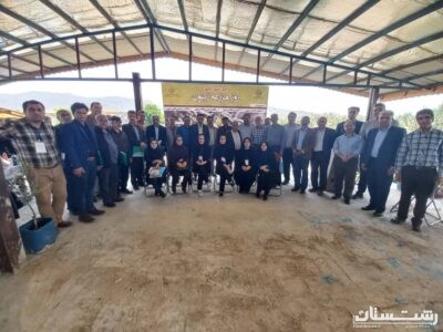 روز مزرعه منطقه ای زیتون در شهرستان رودبار برگزار شد
