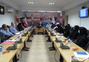 نخستین کمیته تخصصی سلامت و بیمه ای ذیل شورای ساماندهی سالمندان استان گیلان