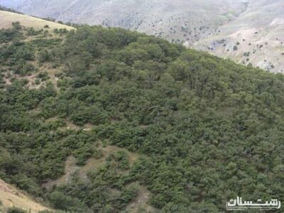 اهمیت اجرای سیاستها و ضوابط حاکم بر مراتع