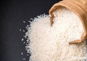 سود چشمگیر برنجکاران از کاهش ضایعات برنج گیلان