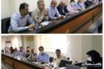 دهمین جلسه کمیته پیک سایی و بهینه سازی مصرف با حضور اعضا برگزار شد