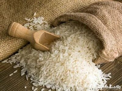 فروشگاه‌های زنجیره‌ای، برنج مازاد کشاورزان گیلان را توافقی خریداری می‌کنند