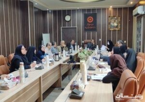 برگزاری هشتاد و ششمین نشست کمیته پیشگیری از بیماری‌های واگیر بهزیستی استان گیلان