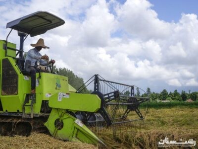 تعرفه برداشت مکانیزه برنج و بسته‌بندی کاه و کلش در گیلان اعلام شد