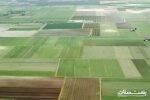 اجرای طرح جهش تولید برنج در شالیزارهای گیلان
