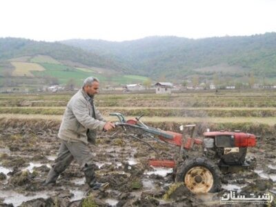 شخم اولیه ۱۰ درصد شالیزارهای گیلان