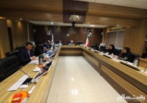 بررسی بودجه ۱۴۰۴ سازمان های فرهنگی و سیما منظر در کمیسیون فرهنگی شورا