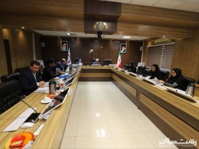 بررسی بودجه ۱۴۰۴ سازمان های فرهنگی و سیما منظر در کمیسیون فرهنگی شورا