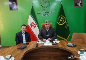 دولت به دنبال تعادل بازار برای تولیدکننده و مصرف‌کننده برنج است