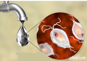 توصیههایی جهت افزایش آگاهی برای پیشگیری از بروز بیماریهای رودهای