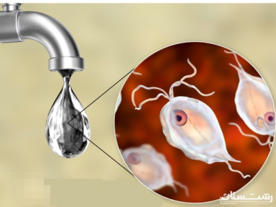 توصیههایی جهت افزایش آگاهی برای پیشگیری از بروز بیماریهای رودهای