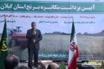 همزمان با نخستین روز مردادماه، آیین برداشت مکانیزه برنج در گیلان برگزار شد
