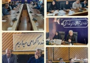 برگزاری جلسه شورای سالمندی و شورای مشارکتهای مردمی در فرمانداری