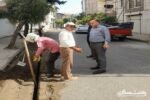 شتاب روز افزون توسعه شبکه فیبرنوری (FTTH) در شهرستان آستارا