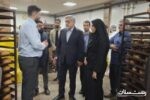 توسعه واحدهای نان صنعتی به تأمین پایدار نان کمک می‌کند