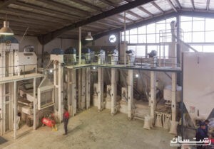 مدرن شدن ۴۰۷ واحد شالیکوبی در گیلان