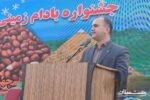 برنج و بادام لشت‌نشا احیا می‌شود